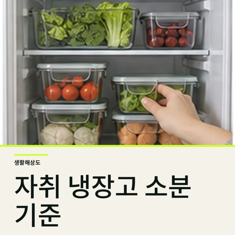 자취 냉장고 정리법, 식재료 버리는 일을 줄이는 7일 소분 규칙